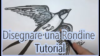 Come Disegnare Una Rondine Tutorial Youtube