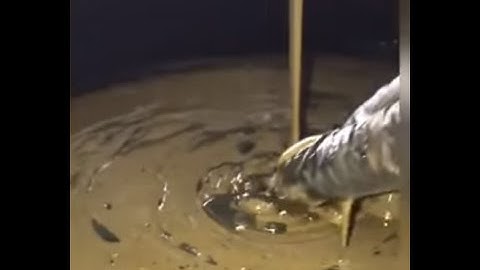 Mechanical Problems Compilation [Part 1]