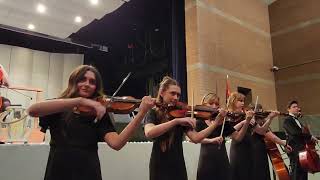 Highland High Starlight Serenade - Emerald Isle