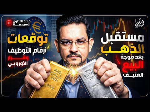 خطة التداول الأسبوعية مستقبل الذهب بعد موجة البيع العنيفة وتوقعات ارقام التوظيف وقرار الأوربي