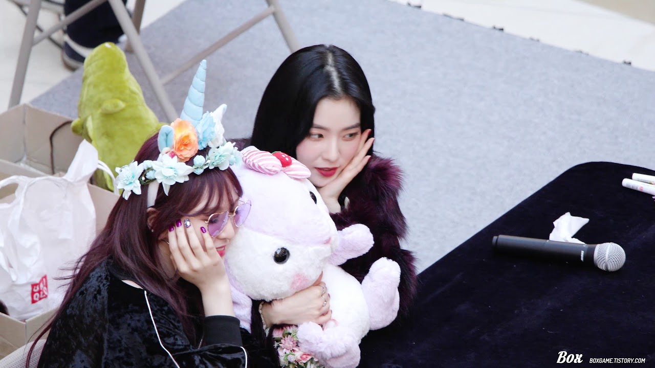 180204 레드벨벳 고양 사인회 끝인사 [아이린] 직캠 by Box
