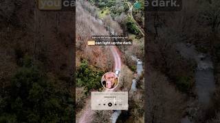 When You Say Nothing At All – Ronan Keating | Learn English through Music #lyricsvideo screenshot 3