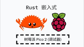 Rust 嵌入式开发 - 树莓派 Pico2 调试器 (ARM)