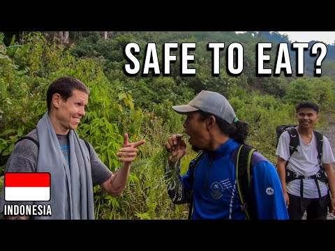 EXPLORING KERINCI With THE LOCALS In SUMATRA, INDONESIA [EPISODE 18]