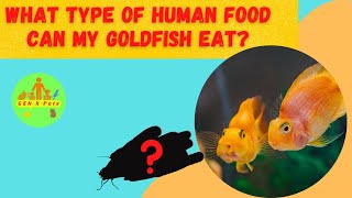 What type of human food can my goldfish eat? by Gen X Pets 144 views 1 year ago 5 minutes, 1 second