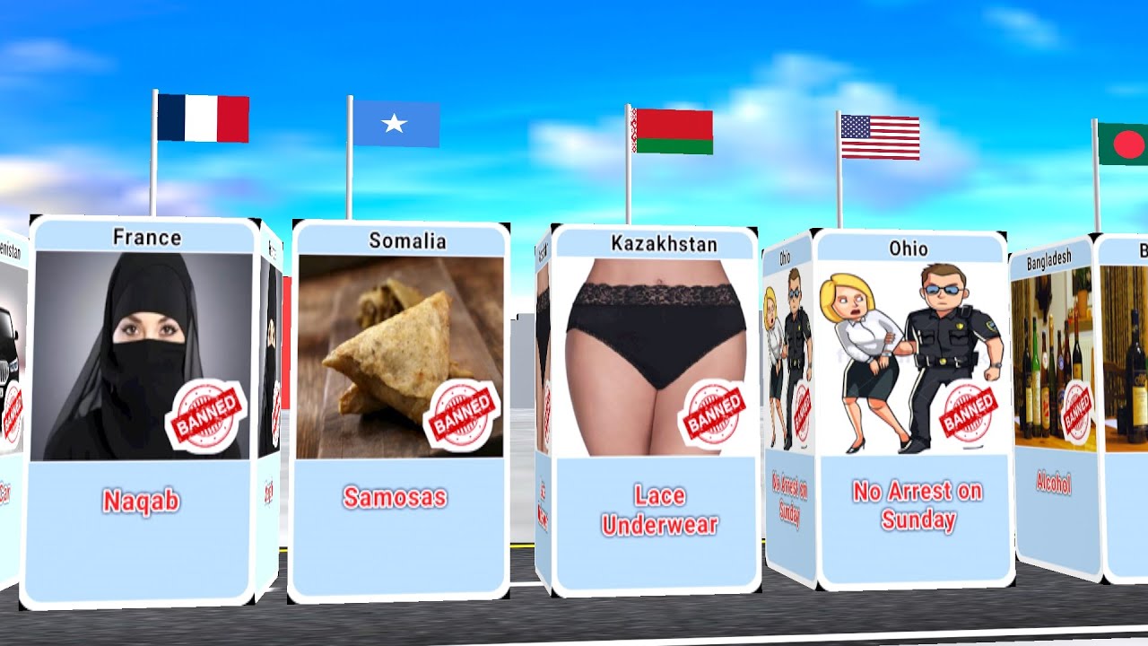 Things Banned In Different Countries YouTube banned-food-items-from-different-countries-youtube