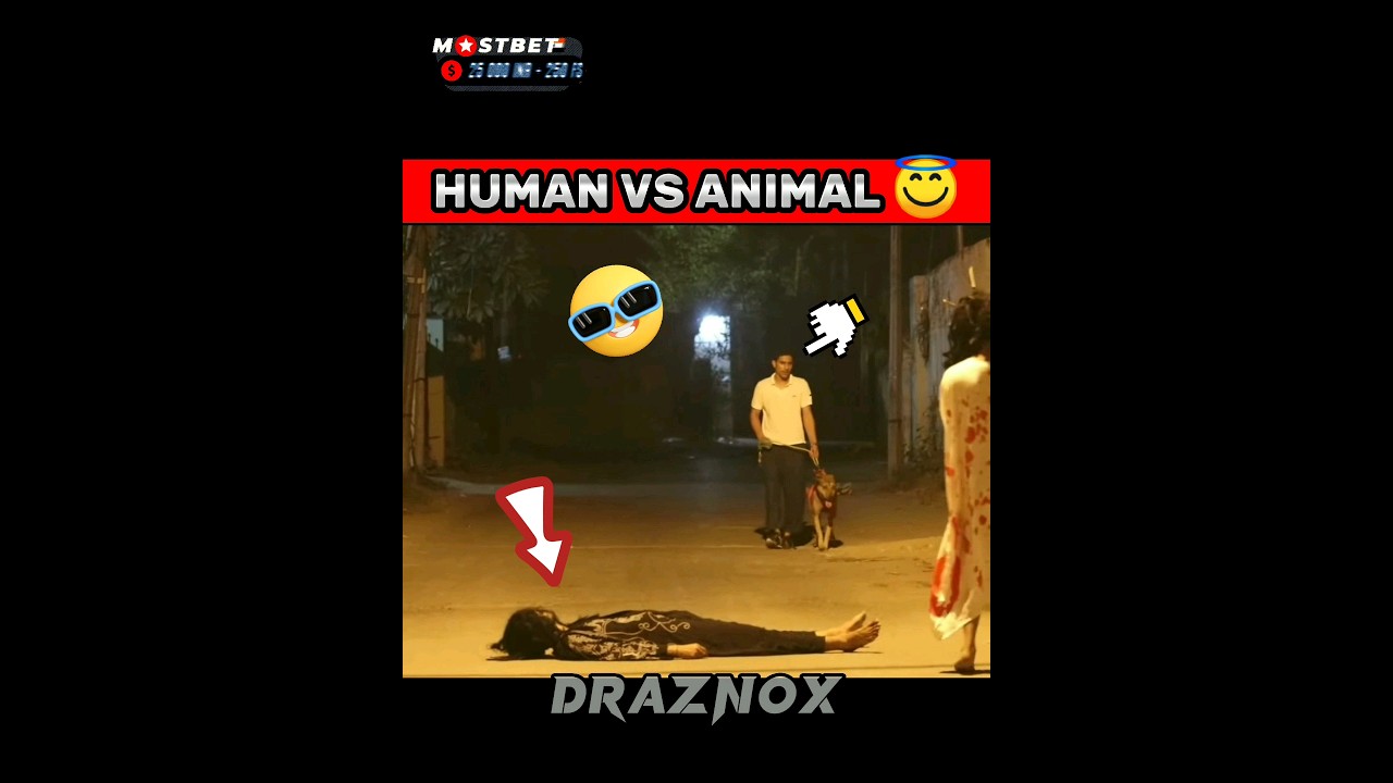 POV HUMAN VS ANIMAL  hanuman   hanumanji  bajrangbali  ghost  prank  viral  video