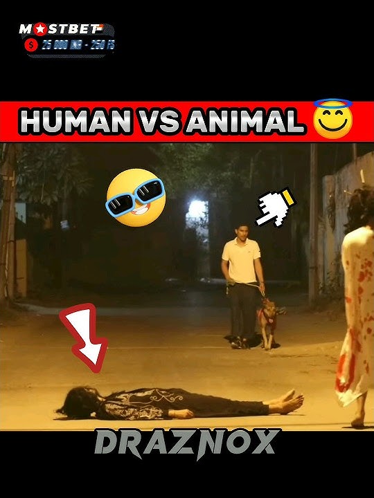 POV:-HUMAN VS ANIMAL 👊👻|| hanuman | #hanumanji #bajrangbali #ghost #prank #viral #video