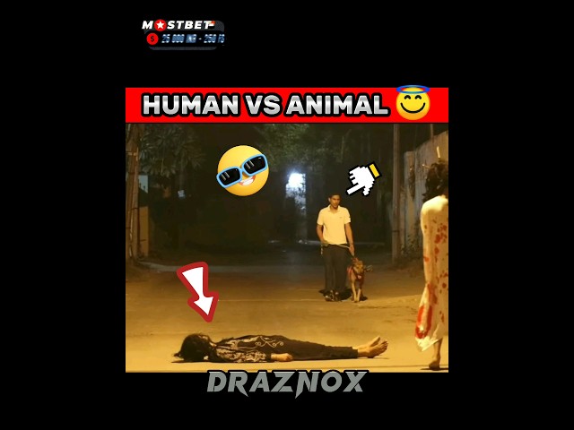 POV:-HUMAN VS ANIMAL 👊👻|| hanuman | #hanumanji #bajrangbali #ghost #prank #viral #video class=