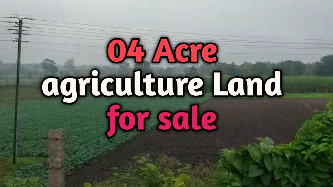 4 Acre agriculture Land for sale near gundalpet Your properties youtube