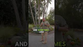 Entryway Planter Lighting Ideas | Enhance Your Front Entrance with Outdoor Lighting