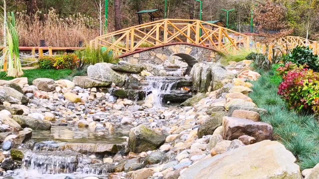 Doğadan Manzara (Doğa, Huzur, Doğal Işık, Gün Işığı ve Açık Hava)