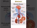 Chronic Stress #trending #shortsfeed#shorts #shortsviral #human  #chronicstress#reels #calisthenics