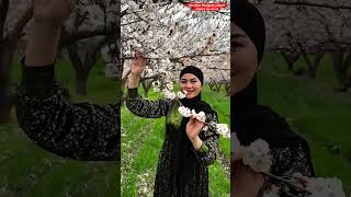 Sarvinoz Ruziyeva - Opa singillar  91134 8989 #shorts #youtube #love #trend #tiktok#shortvideo
