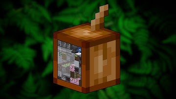 Compact Cocoa Beans Farm