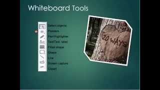 20 Ways to use the Blackboard Collaborate Whiteboard (Katie Walker)