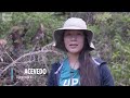 Watch how the climate apprentices protect Miami-Dade's native habitats