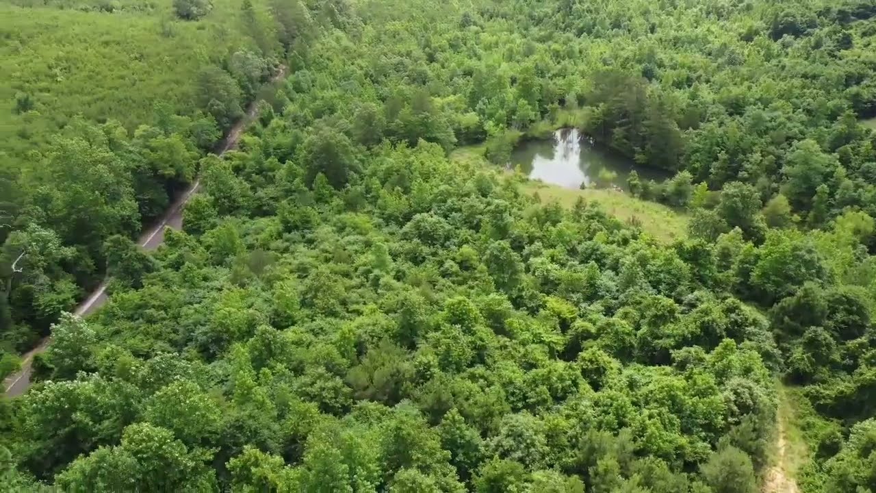 Tuscumbia Rd Belden, MS