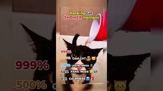 Cats Having Absolute Meltdowns In The Shower! 😹🌊 #shorts #funny #animals #viralshorts #trending