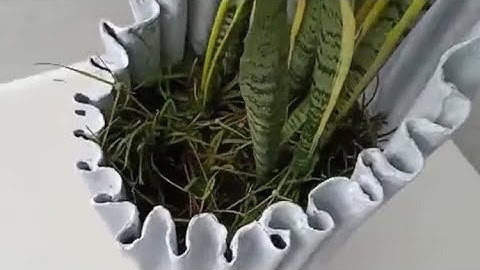 Hướng dẫn làm chậu trồng cây cảnh từ vải và xi măng siêu đẹp #shorts