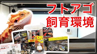 フトアゴヒゲトカゲ飼育用に床材や紫外線ライトを爆買いしました【お迎え準備編】