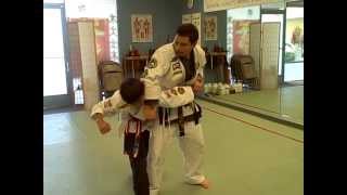 Pinan Sandan 3rd Bunkai.AVI