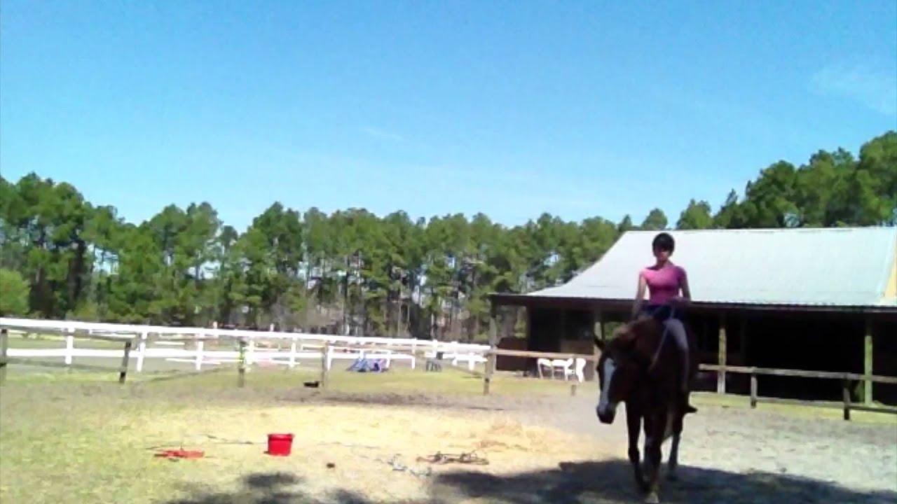 Bareback and Tackless