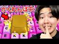 キーボードを踏むたびにスピードが上がるロブロックスでかくれんぼをやってみたら最強の隠れ場所を見つけた...