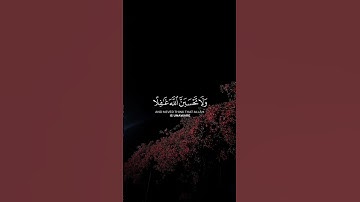 أكتب شيء تؤجر عليه 😴❤️|ولا تحسبن الله غٰفلا عما يعمل الظٰلمون|#القران الكريم #القران