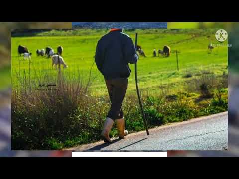 ليبيا الخضراء