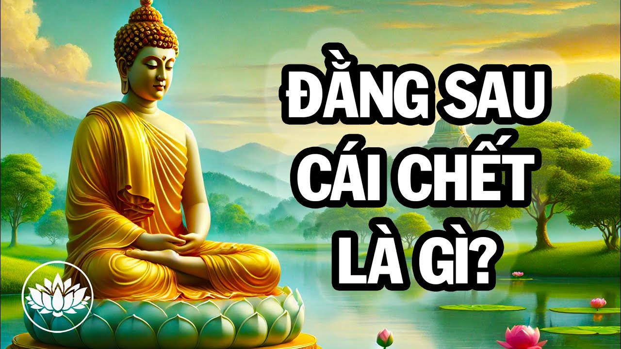 Đằng Sau Cái Chế Là Điều Gì Đang Chờ Ta | Thuyết Pháp Phật Giáo Tịnh Tâm Nghe Trước Khi Ngủ
