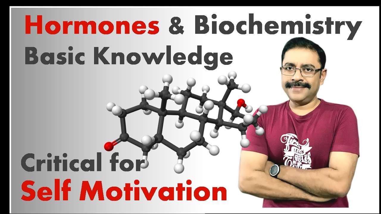 Video 4 - Basic Knowledge is critical for Self Motivation - YouTube