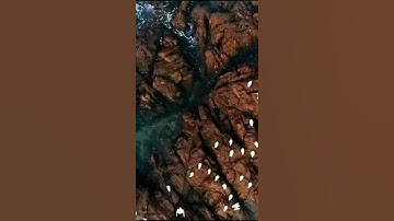 سورة النصر بصوت الشيخ ماهر المعيقلي