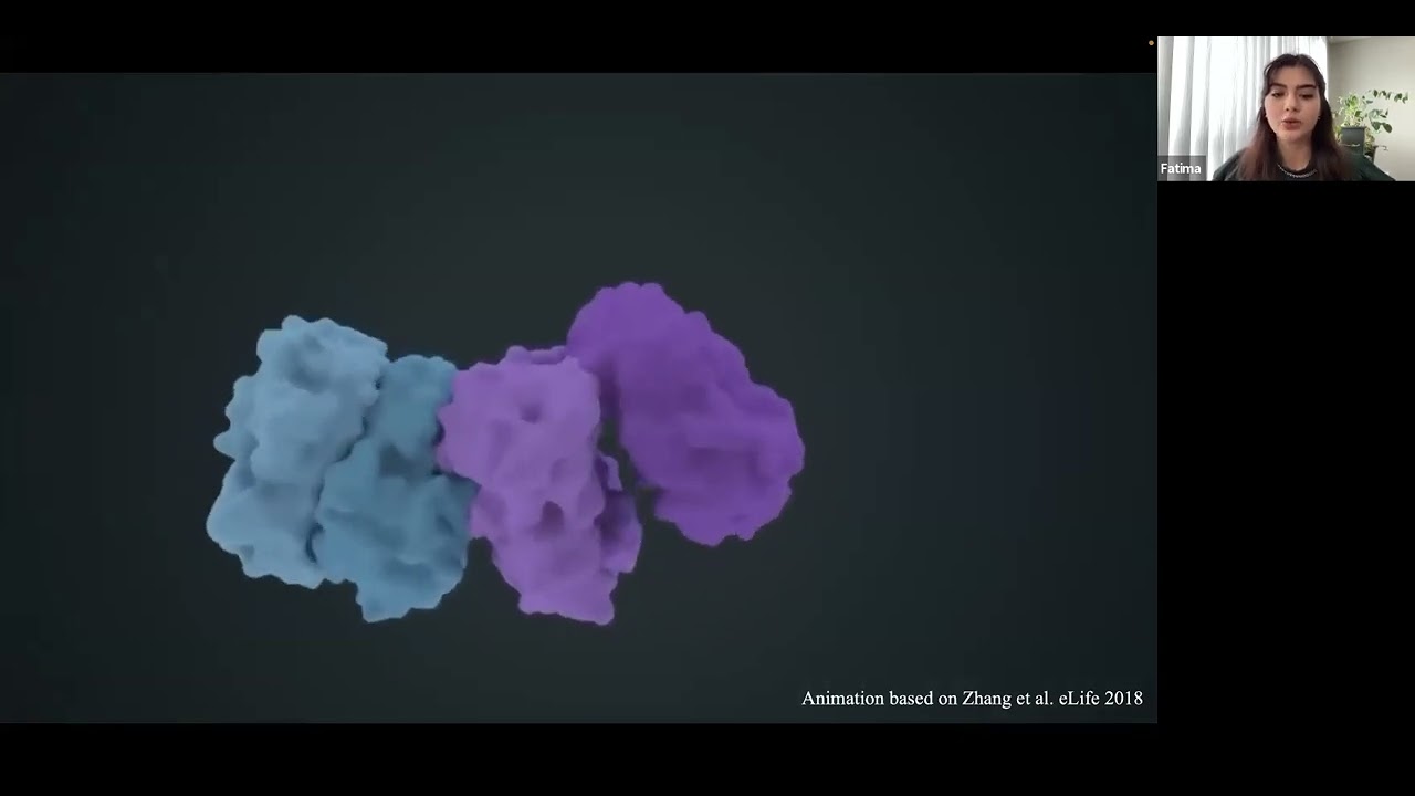Cryogenic Electron Microscopy by Fatma Afkhami