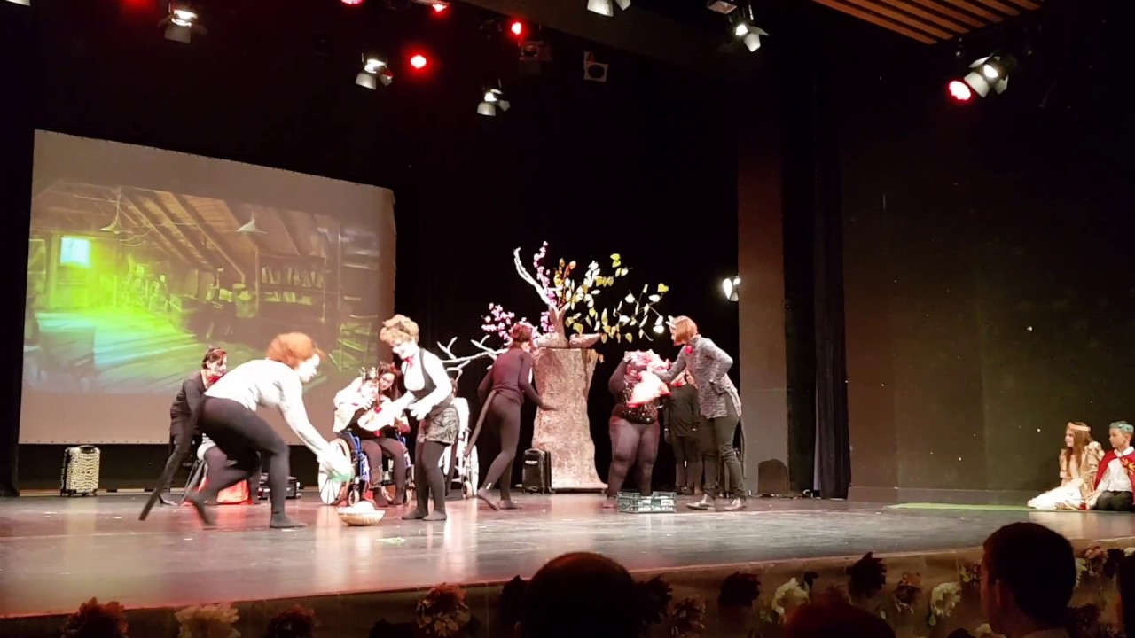 Kozmutza Gála - Macskák a padláson