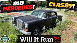 WILL IT RUN?! Abandoned Vintage Mercedes!