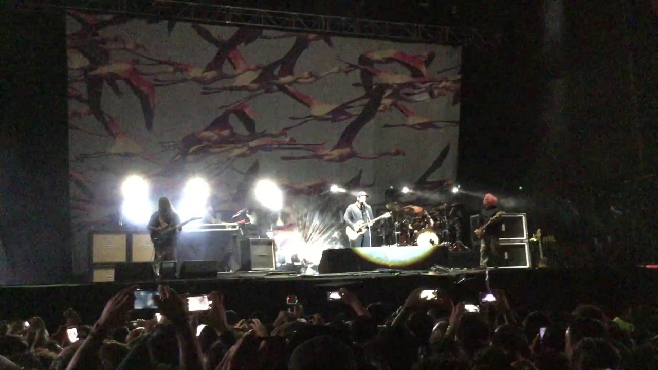 deftones rosemary live knotfest mexico 2016 YouTube