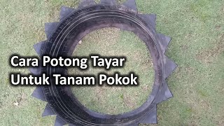 Cara Potong Tayar Untuk Tanam Pokok