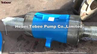Tobee® Replacement Warman Centrifugal Slurry Pump Bearing Assembly