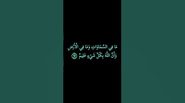 كروماجعل الله الكعبة البيت الحرام قياما للناس#قراءن كريم#راحة نفسية#الشيخ سعد الغامدي#سورة المائد#