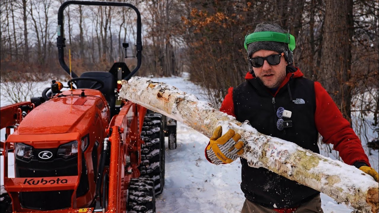 Clearing Dead Birch Trees | Winter Work on the Farm