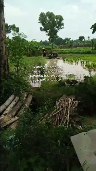 STORY WA TRAKTOR MANIA