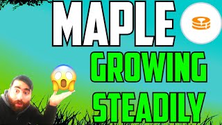 Maple is Growing Steadily and has No downtrend whatsoever! Healthy Coin in my Opinion.