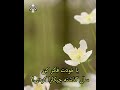 گذشته امید حسرت آینده