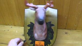 DSCF1646