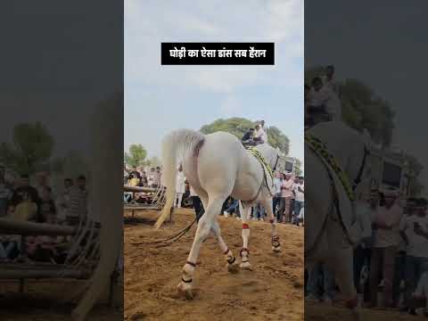 घोड़ी का ऐसा डांस नहीं देखा होगा आपने 😳😱😱