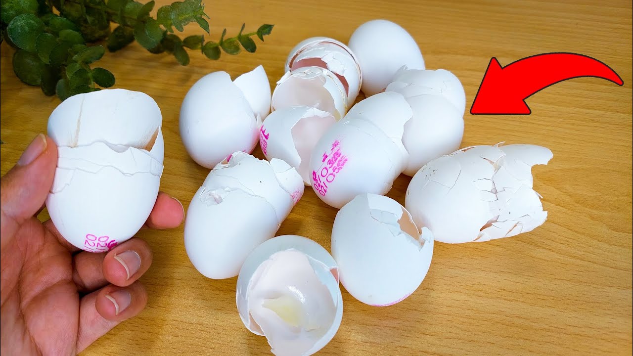 3 Incredible Eggshell Hacks That If You Know, You'll Never Throw This