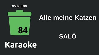 SALÒ - Alle meine Katzen (Karaoke) [AVD-189]