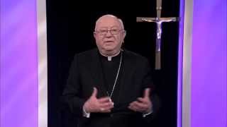 The Harvest is Plenty Reflections -- Pt. 10