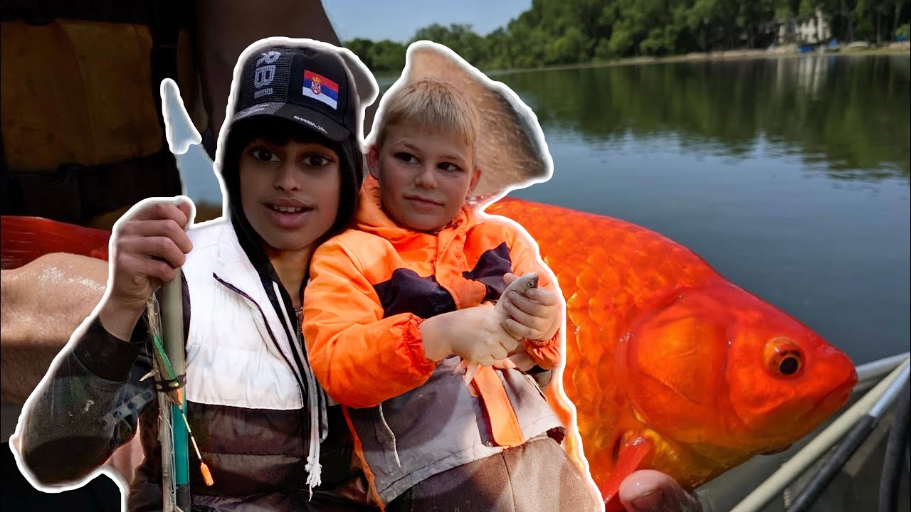 Upecali smo “zlatnu ribicu” zašto je skočio u vodu?